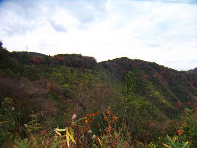 山は少し色づいてる。この季節だけどこの付近はまだ紅葉が終わってないところがあるんだね