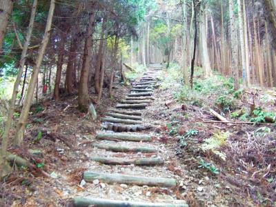 中葛城山への登り。階段を登りきったところで楽になる