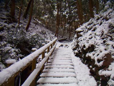 登山道の階段も積雪してるけど凍ってるわけでないので歩きやすい