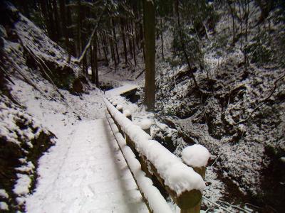 下山時も自分達が歩いてきた足跡以外なかった。雪はフワフワだったので滑りはしなかった
