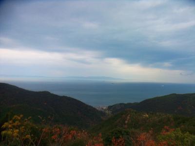 高森山からの景色。見えてる漁港はどこになるんだろう！？