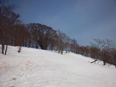 コヤマノ岳付近。まだ雪で覆われている。今年はよほど雪が多かったんだな