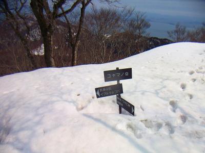 ここがコヤマノ岳の山頂かな！？看板が雪で埋まっていた