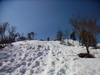 武奈ヶ岳の斜面をスキーで滑走する。登山靴を固定してるだけだからターンがきりにくい