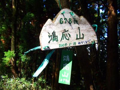 鴻応山(678m)に到着。短距離だけど道標も少なく整備もされてない登山道だったので少し苦労した