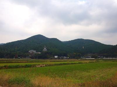 下から小和田山を望む。山の中腹には七宝寺の大仏が立っているのが見える