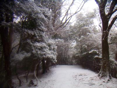 石山寺に向かって東海自然歩道を進む