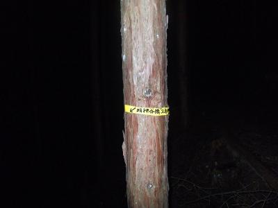 木にこのように書かれたテープがあった。ここは左右の分岐になっていて右は岩雄山、おそらく左は大石ヶ峰だと思う