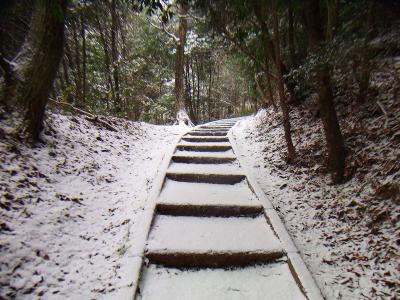 最初のこの階段が長い。雪が積もってるけど凍ってないので滑りはしない