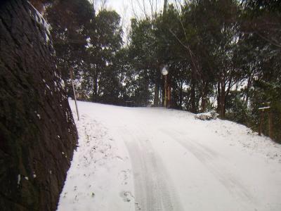 普通なら舗装道も雪が積もってちょっとした雪道になっている。車のタイヤ跡があったけど宝池寺の人かな！？