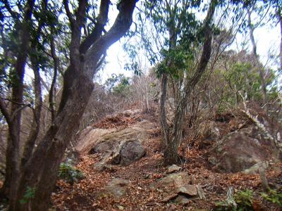 トンガリ部分の登りは急斜面なのと、このような露岩がある