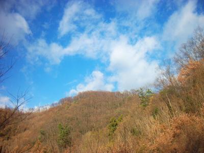今日は雲もあるけど快晴でいい天気。雨森山には展望があまりないとの情報だったけどね