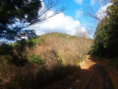 林道は舗装道なので面白くないが、今日は天気が良い