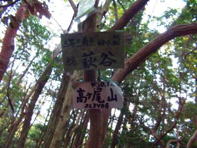 三等三角点で点名は萩谷。高ヶ尾山(480.3m)の木のプレートがあった