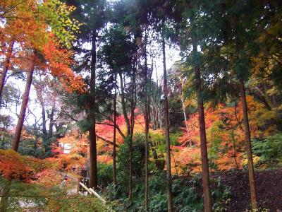 付近はすっかり紅葉になっている。ちょっと京都のお寺な感じの雰囲気だった