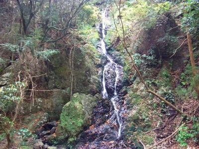 乙女の滝は水量が少なくて落差があまりないけど神秘的というか、なにか不思議な滝なんよね