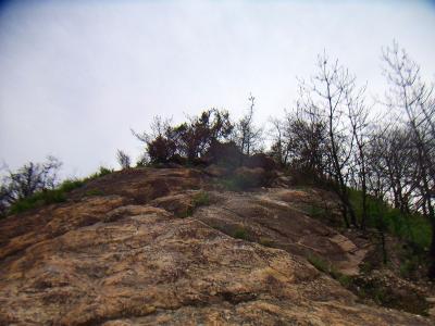 百間岩は結構歩きやすいけど斜面が少し急で息切れしながら登っていく