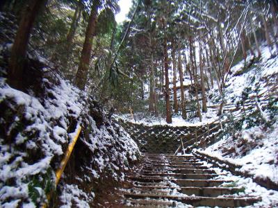 ここから長い階段道のはじまり。雪はあるけど凍ってないので滑りはしなかった