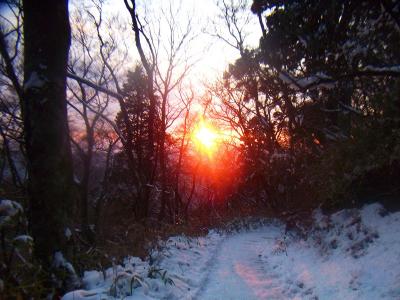 雪が夕日に照らされてオレンジ色に染まる。こういう風景も雪景色にはいい感じかも