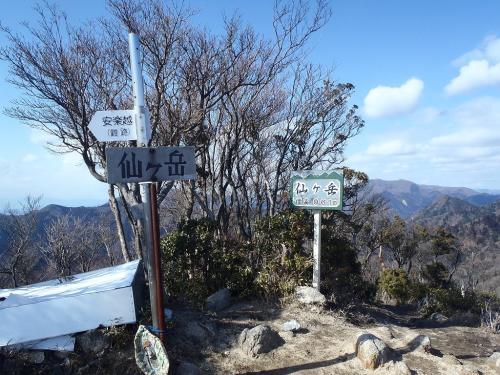 晴れた日の仙ヶ岳(961m)に到着。前の山頂は吹雪だったけど、今回は晴れてよかった