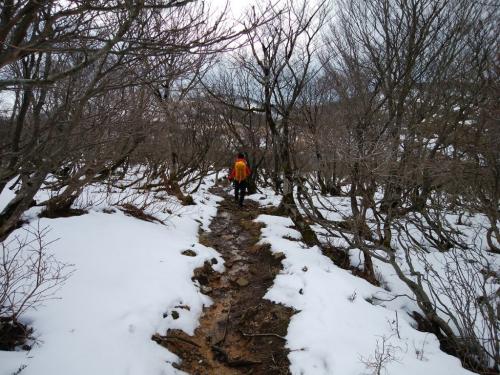 このあたりは雪があったけど、登山道はジュクジュク。尻もちなんてつきたくないと思いながら歩く