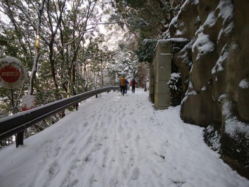 登山口までの林道歩き。先日の霊仙山の林道に比べれば歩きやすい！
