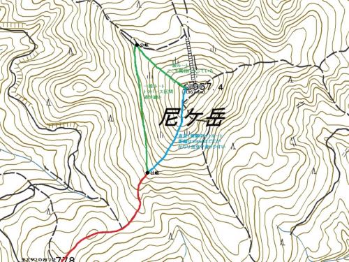 尼ヶ岳山頂付近の拡大した地図。直登となる健脚向ルートは青線で、距離は0.3kmながらも標高は100mくらい登ることになる。これは確かにキツそうだわ。一般向ルートは緑線で、一旦尼ヶ岳山頂直下の西側にトラバースしてそこから登るみたいだけど、確かにこっちのほうが楽そうだ
